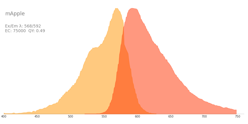mApple :: Fluorescent Protein Database