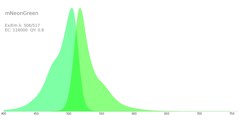 mNeonGreen antibody (29523-1-AP)