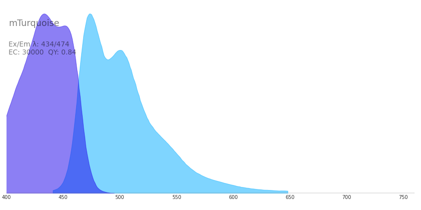 mTurquoise :: Fluorescent Protein Database
