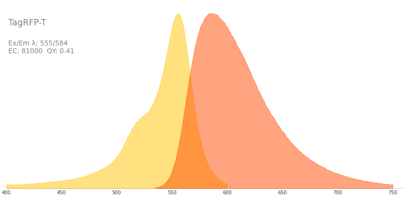 rfp T Fluorescent Protein Database