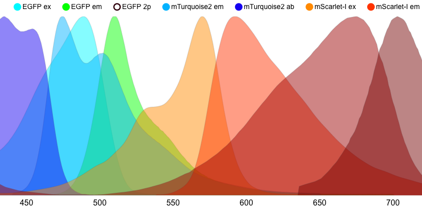 Fluorescent Spectrum Chart